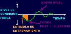 respuesta ENTRENAMIENTO FATIGA RECUPERACION