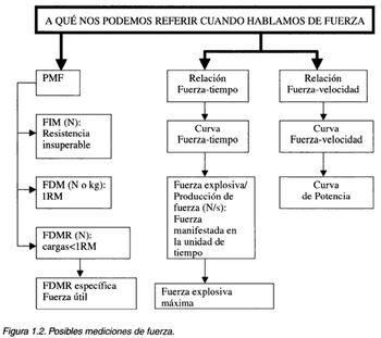 fuerza bases programacion rendimiento entrenamiento fisico musculacion halterofilia