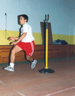 entrenamiento rendimiento fisico fuerza